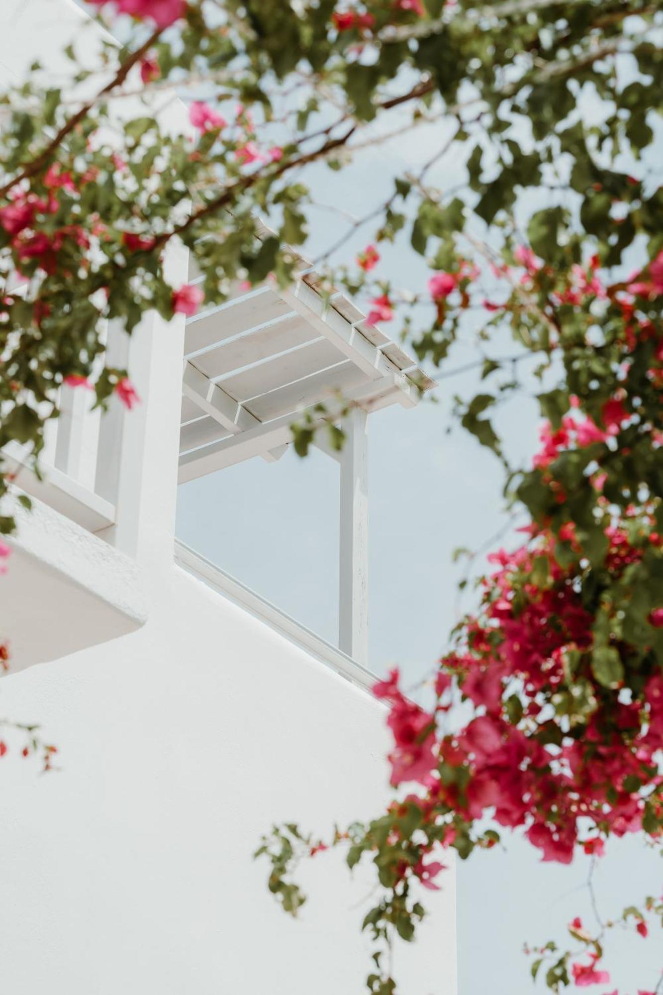 Mr And Mrs White Paros Hotel Náousa Exterior foto