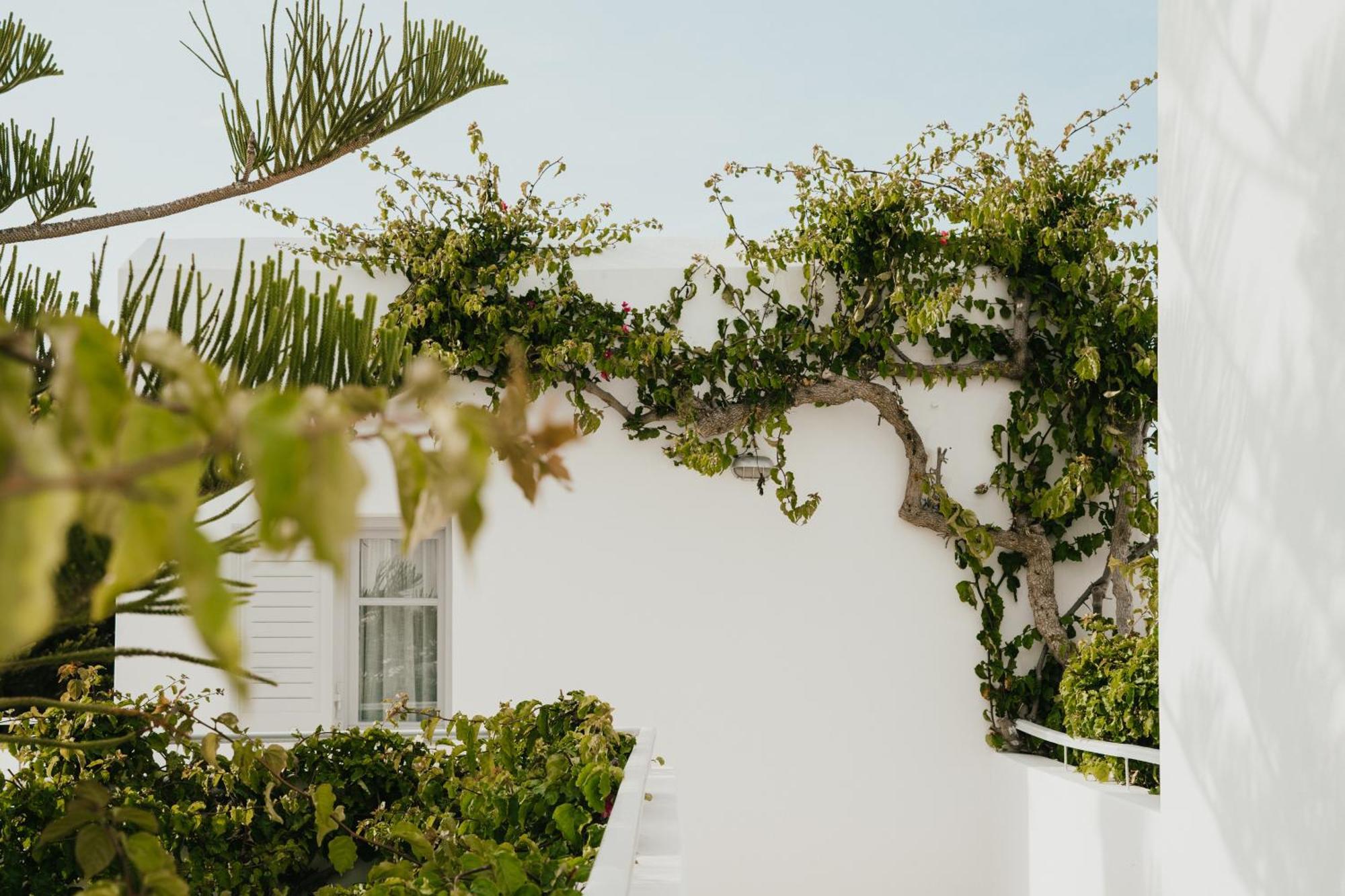 Mr And Mrs White Paros Hotel Náousa Exterior foto